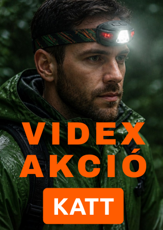 foxinno.com