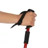 Trekking poles Nordic walking poles foldable black