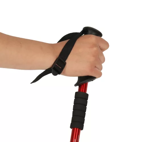 Trekking poles Nordic walking poles foldable black