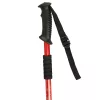 Trekking poles Nordic walking poles foldable black