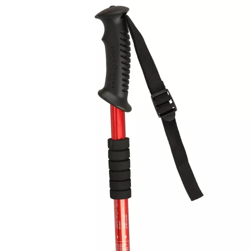 Trekking poles Nordic walking poles foldable black