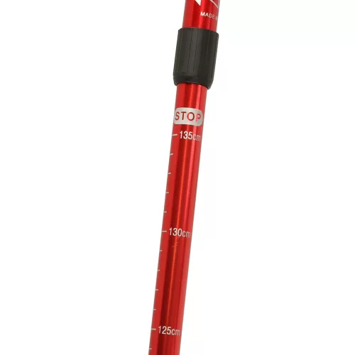 Trekking poles Nordic walking poles foldable black