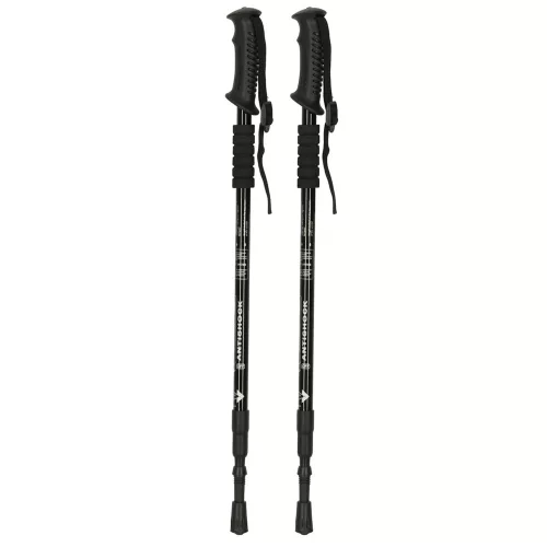 Folding Nordic walking poles