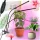 LED plant growth lamp panel 3 bulbs