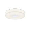 RENDL R14549 ASTERI Pine Ceiling lamp with satin glass drill for Led bulb, 3000K, 35 W, 230V