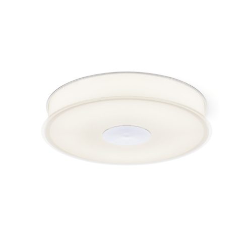 RENDL R14549 ASTERI Pine Ceiling lamp with satin glass drill for Led bulb, 3000K, 35 W, 230V