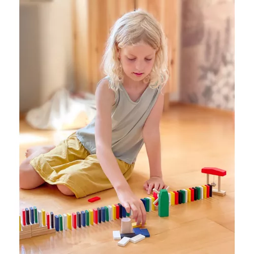 Domino Rallye Race