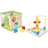Insect Motor Skills Training Cube