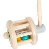 Push-Along Rattle Toy