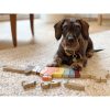Letter Puzzle Dog