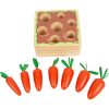 Carrots Shape-Fitting Game
