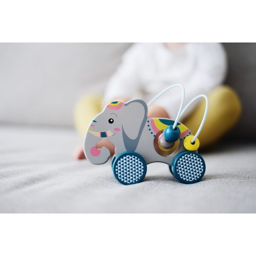 Push-Along Animal with Bead Maze "Jungle"