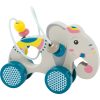 Push-Along Animal with Bead Maze "Jungle"