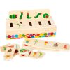 The Very Hungry Caterpillar Picture Sorting Box