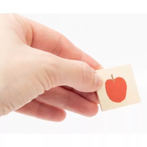 The Very Hungry Caterpillar Picture Sorting Box