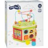 Animal Safari Motor Activity Cube