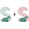 Wooden Nursery Letters S