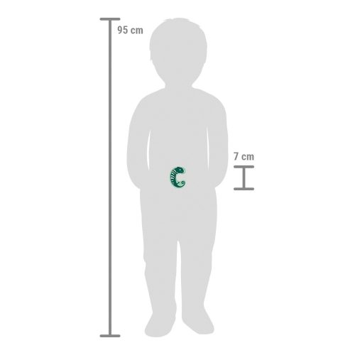 Wooden Nursery Letters C