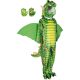 Dragon Costume