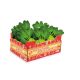 Box "Kohlrabi"
