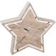 Compact Light-Up Star Tree Pit Design