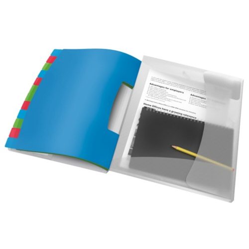 Pre-sorter ESSELTE Vivida A/4 PP 12 parts