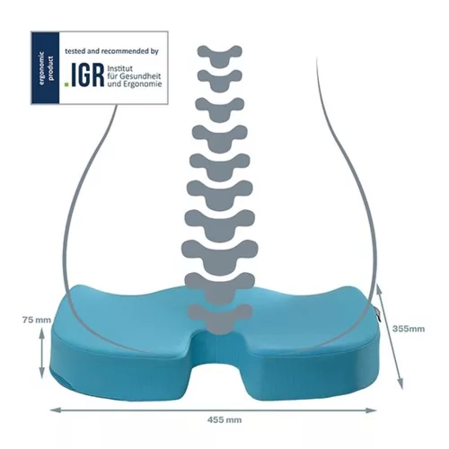Ergonomic seat cushion LEITZ Ergo Cozy calm blue