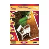 Photo paper FORTUNA A/4 inkjet matte 180 g 50 sheets