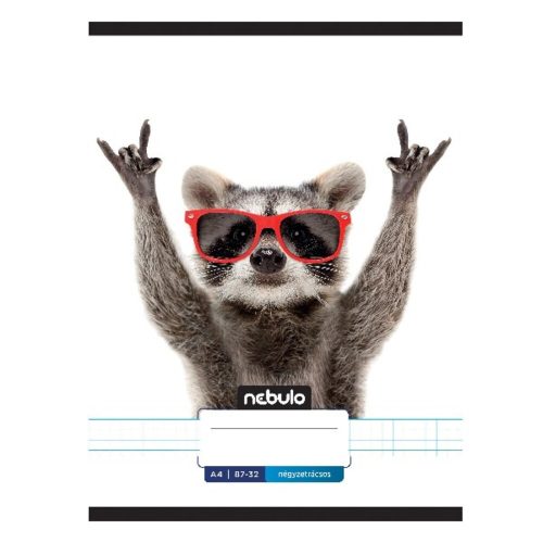 Checkered notebook NEBULO A/4 32 pages 87-32 Xtreme 12 pieces