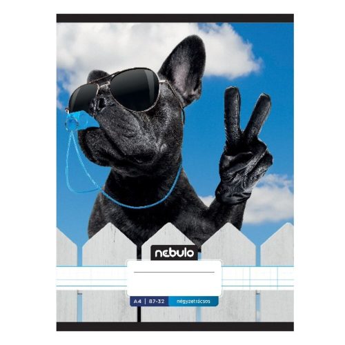 Checkered notebook NEBULO A/4 32 pages 87-32 Xtreme 12 pieces