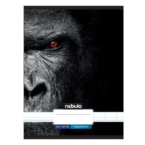Checkered notebook NEBULO A/4 32 pages 87-32 Xtreme 12 pieces