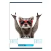 Checkered notebook NEBULO A/5 32 pages 27-32 Vágany 16 pieces
