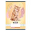Lined notebook NEBULO A/5 32 pages 14-32 1st grade Animals 16 pieces