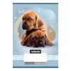 Lined notebook NEBULO A/5 32 pages 14-32 1st grade Animals 16 pieces