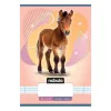Lined notebook NEBULO A/5 32 pages 14-32 1st grade Animals 16 pieces