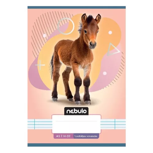 Lined notebook NEBULO A/5 32 pages 14-32 1st grade Animals 16 pieces