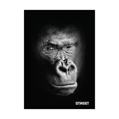 Notebook lined STREET A/5 54 pages with Safari margins