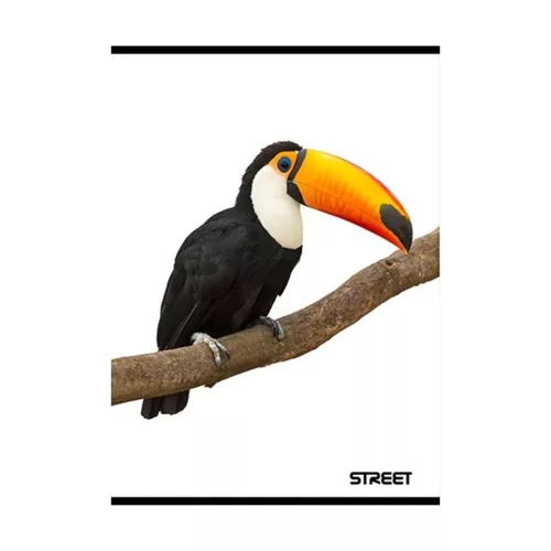 Notebook lined STREET A/5 54 pages with Safari margins