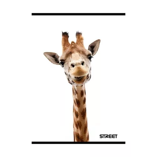 Notebook lined STREET A/5 54 pages with Safari margins