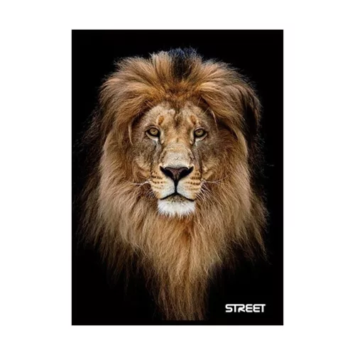 Notebook lined STREET A/5 54 pages with Safari margins