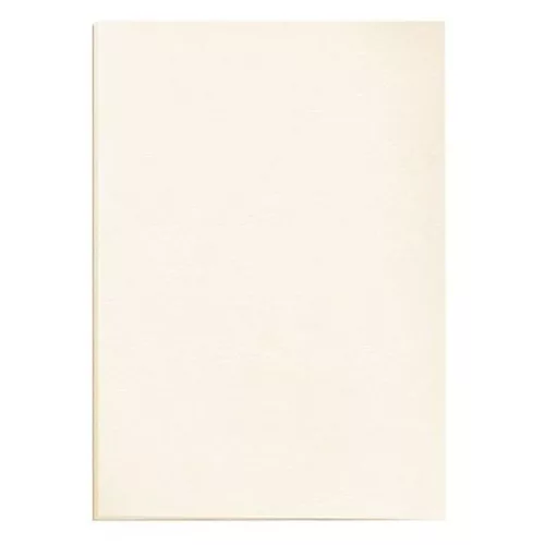 Back cover FELLOWES Delta A/4 250 g matt ivory 100/pack