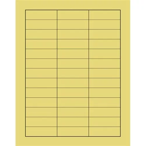 Printed physical therapy treatment sheet PÁTRIA 118x150mm