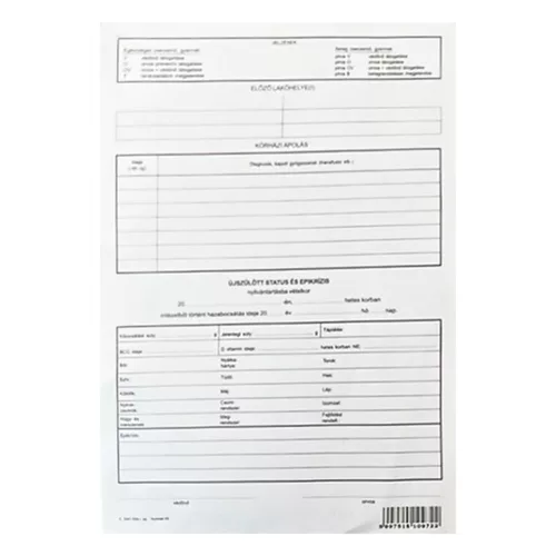 Printed child health master sheet A/4 upright
