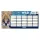 Timetable ARS UNA single sheet double sided Icons of the Wild-Serval