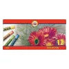 Powder chalk KOH-I-NOOR Toison 12 pieces