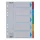Register ESSELTE Standard A/4 cardboard 5 parts