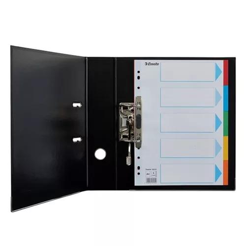 Register ESSELTE Standard A/4 cardboard 5 parts