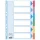 Register ESSELTE Standard A/4 cardboard 6 parts