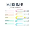 Double-ended text highlighter ZEBRA Mildliner fluorescent 1.4-4.0 mm 5 pieces