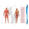 Student worksheet STIEFEL A/4 Human skeletal muscle